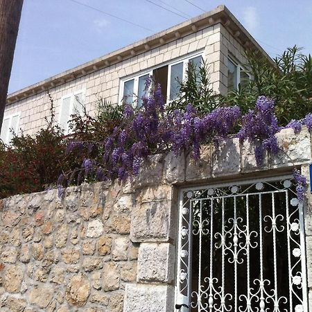 Apartments Jelen Dubrovnik Bagian luar foto