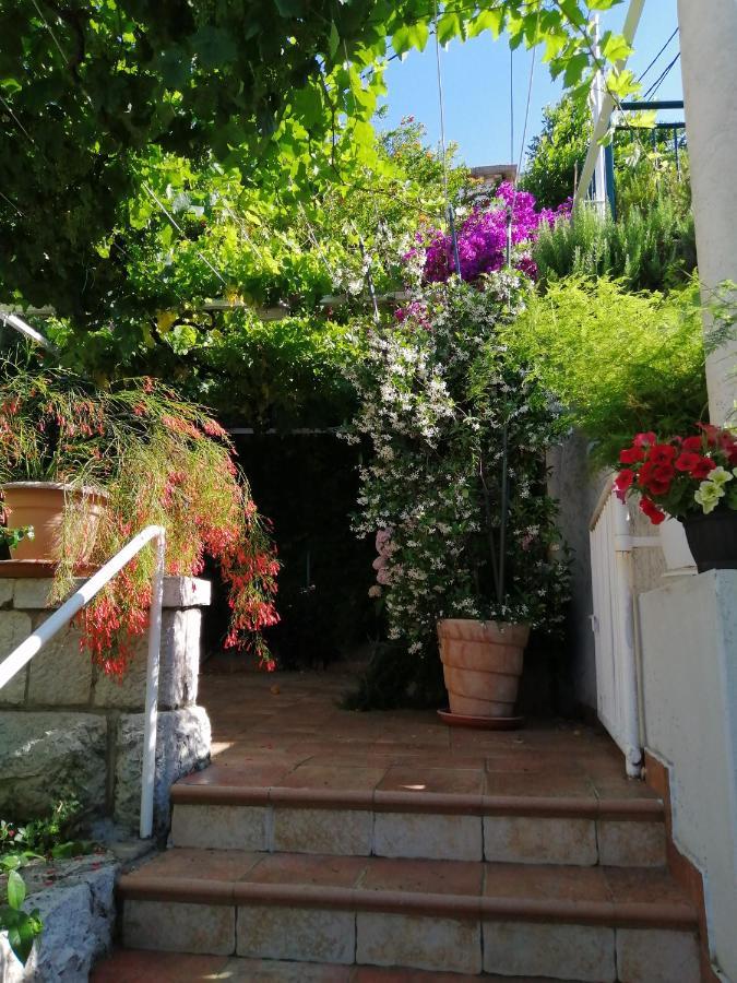 Apartments Jelen Dubrovnik Bagian luar foto